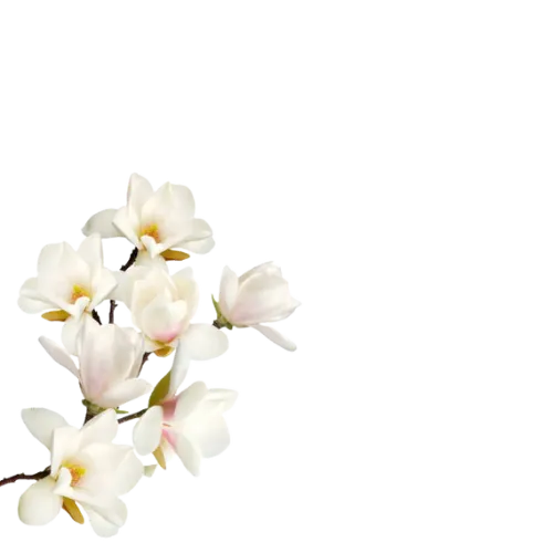 Flor decorativa de DigitalBloomKT en testimonios